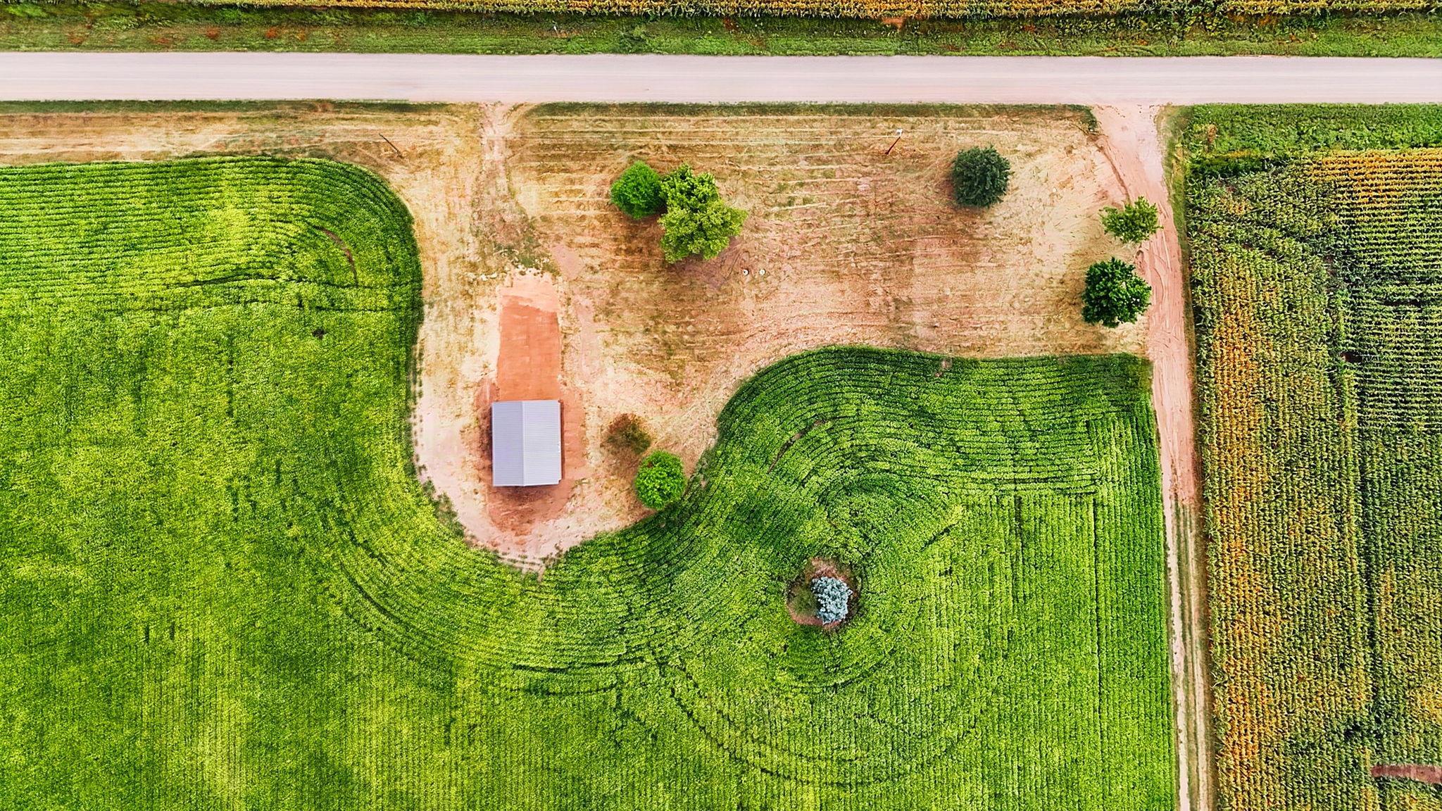DJI_20260902110457_0481_D.jpg