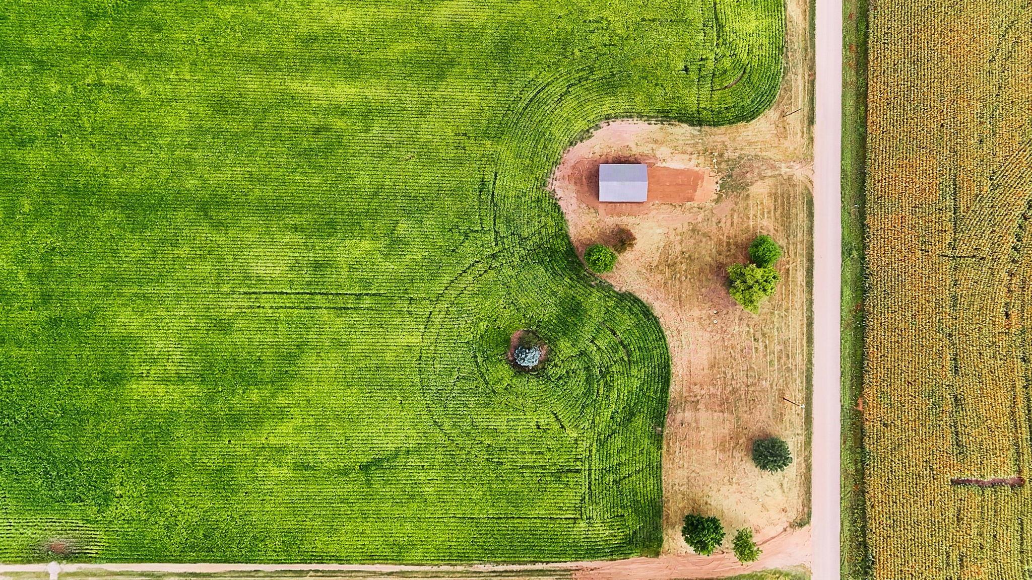DJI_20260902110511_0482_D.jpg