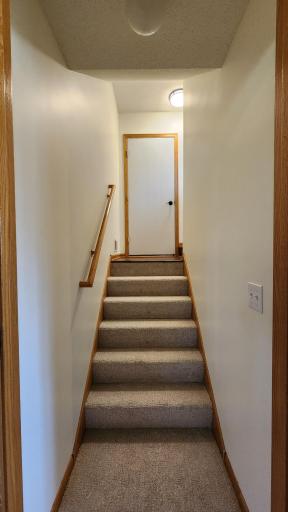 Door at the bottom of the stairs in the lower level, saves on heating costs