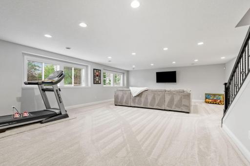 Finished Lower Level w/ Living Room, gaming space + 5th Bedroom