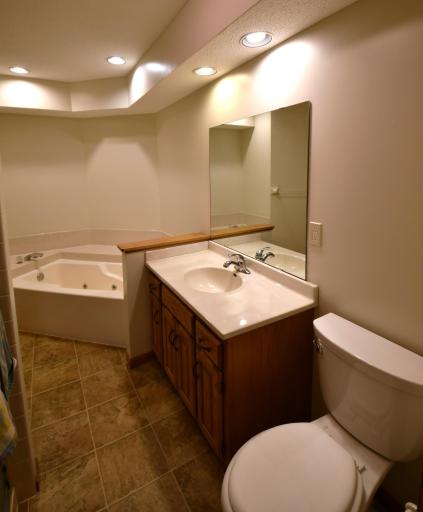 Main Level Walk Thru Bath with Jetted Tub and Shower
