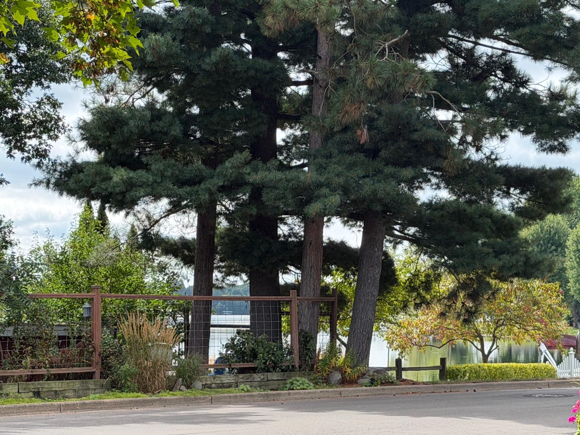 View across the street of North Twin Lake