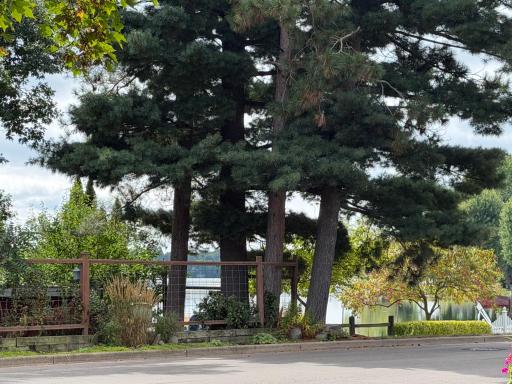 View across the street of North Twin Lake