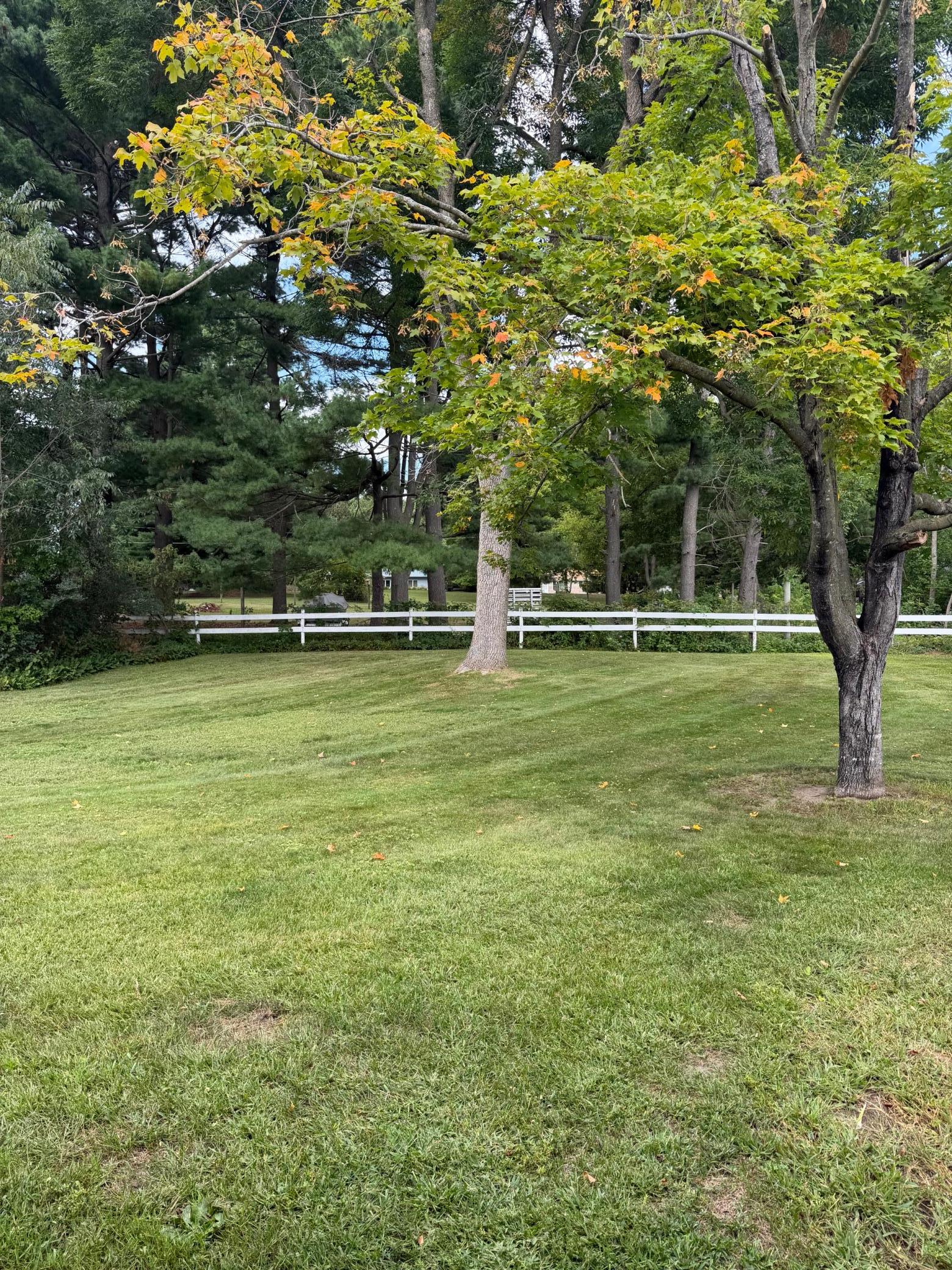 large super private backyard