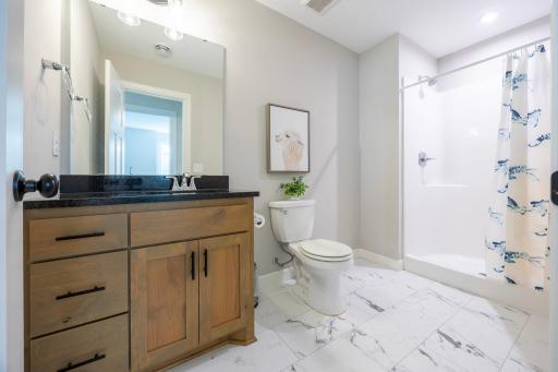 Lower level bathroom