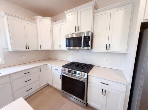 1577 Upper 141st Street E, Rosemount, MN 55068