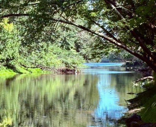 River 2026- low water year
