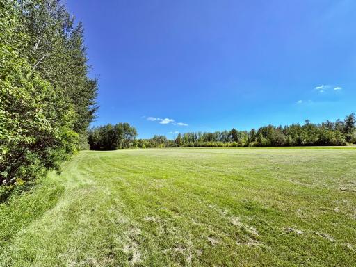Open fields