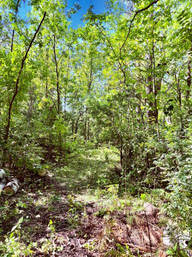 Trail to river