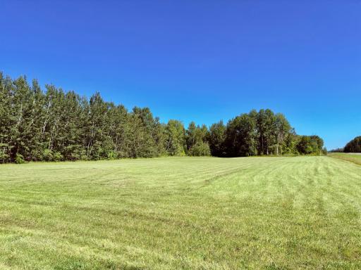 Field to east of cabin