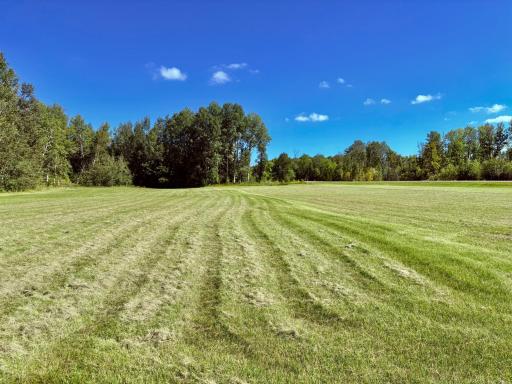 East field
