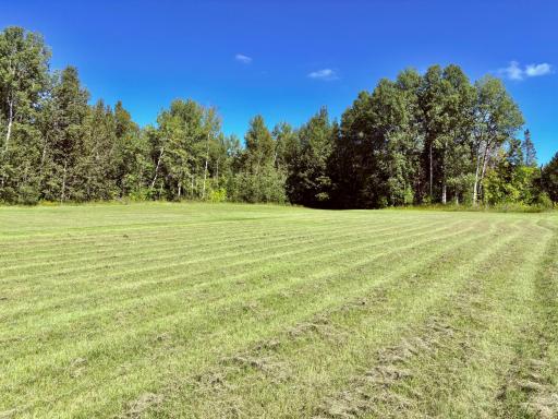 East field