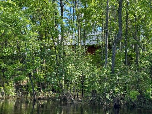 Cabin from River- 2024