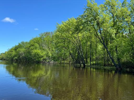 Rainy River 2024- higher water year