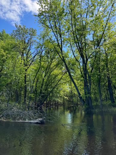 Inlet to property- great spot to park your boat
