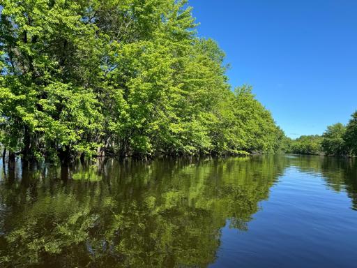 Rainy River 2024- high water year