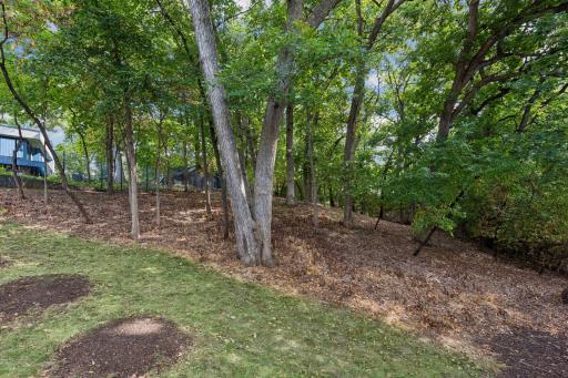 Backyard 01.jpg