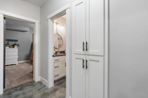Lower Level Bathroom