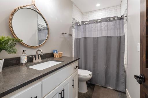 Lower Level Bathroom