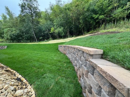 New Back Yard.jpg