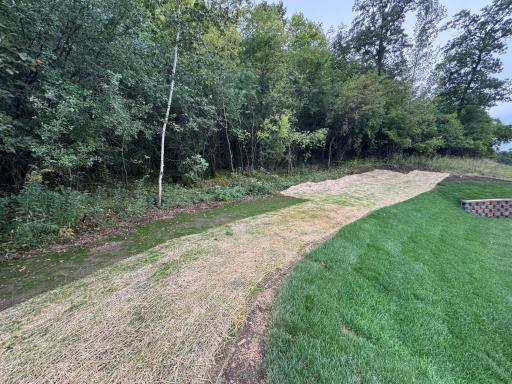 Level on top of back yard also.jpg