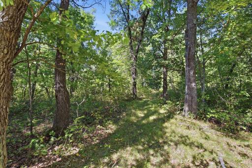 8-web-or-mls-14848_Bistram_Rd_Grantsburg_WI_008.jpg
