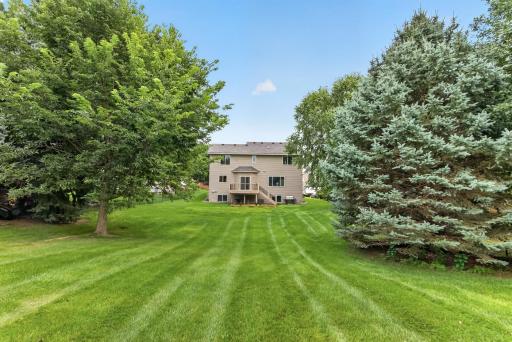 1954 Ormond Drive, Shakopee, MN 55379