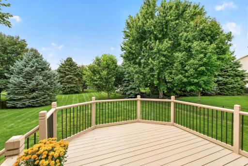1954 Ormond Drive, Shakopee, MN 55379