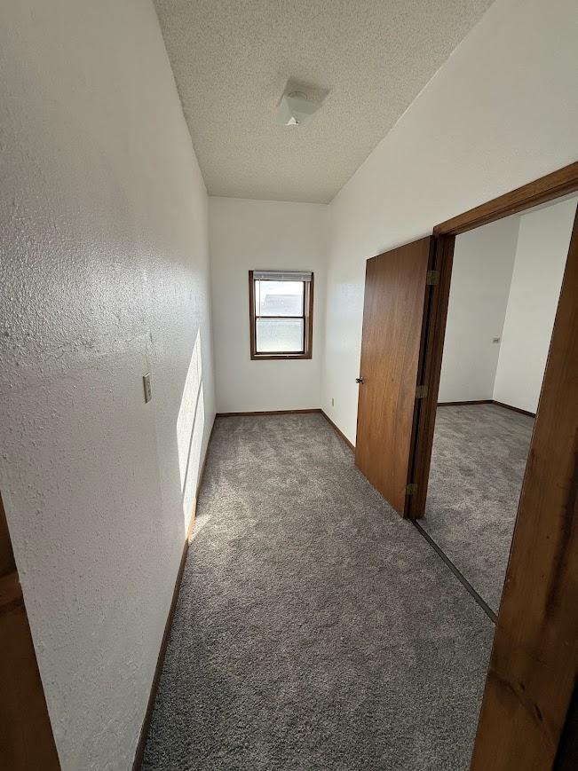Unit 5: Hallway Entry with Natural Daylight and Neutral Finishes