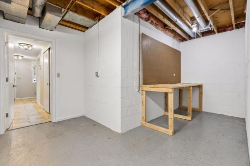 Wonderful storage space in the laundry/mechanical area