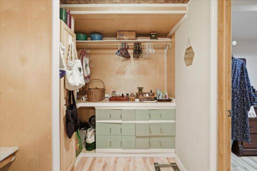 Lower Level Bedroom Walk In Closet