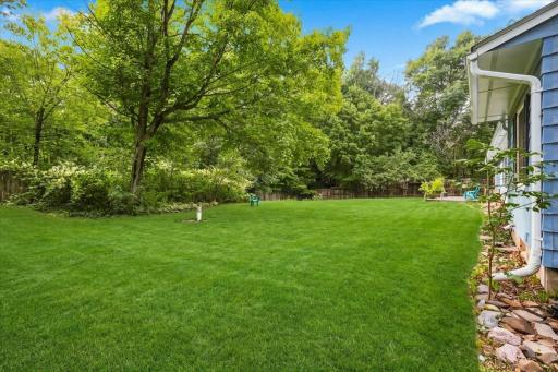 32-Backyard.jpg