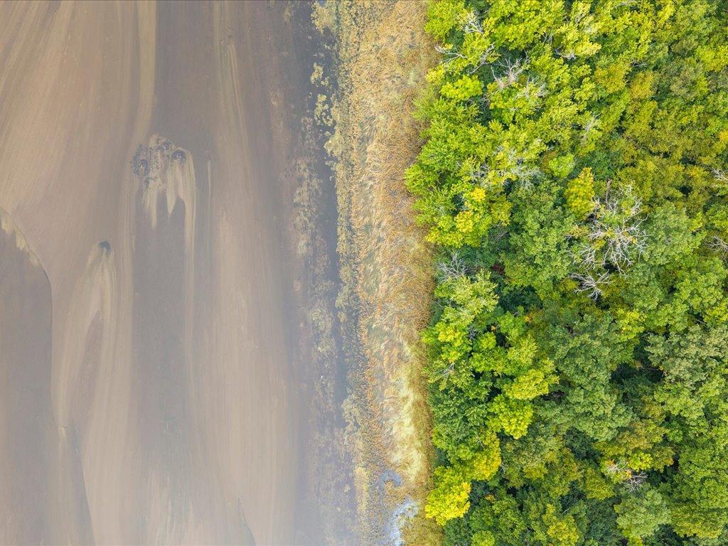 12-DJI_20260904104232_0235_D.jpg