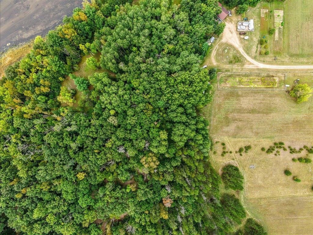 21-DJI_20260904104924_0263_D.jpg