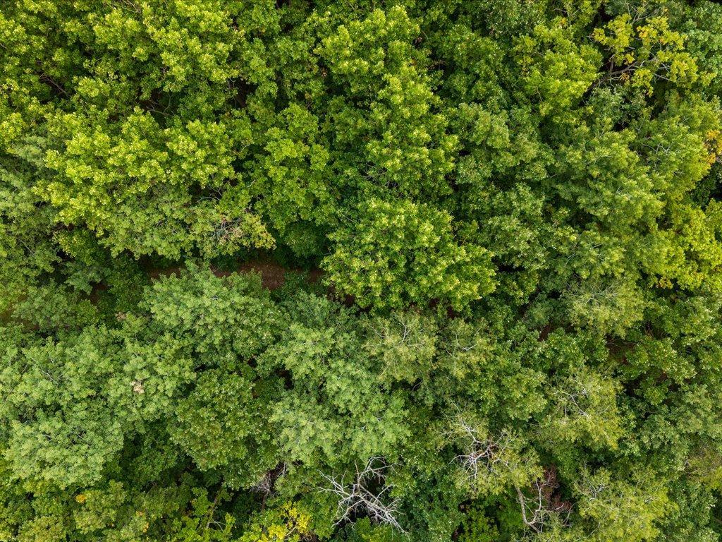 29-DJI_20260904105415_0288_D.jpg