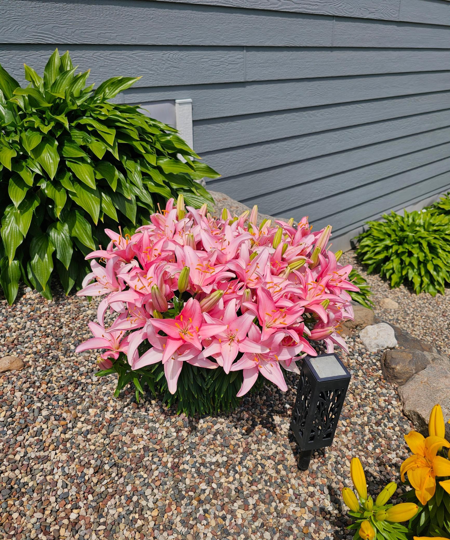 Landscaping accented with vibrant perennials & hostas! (Seller Photo)