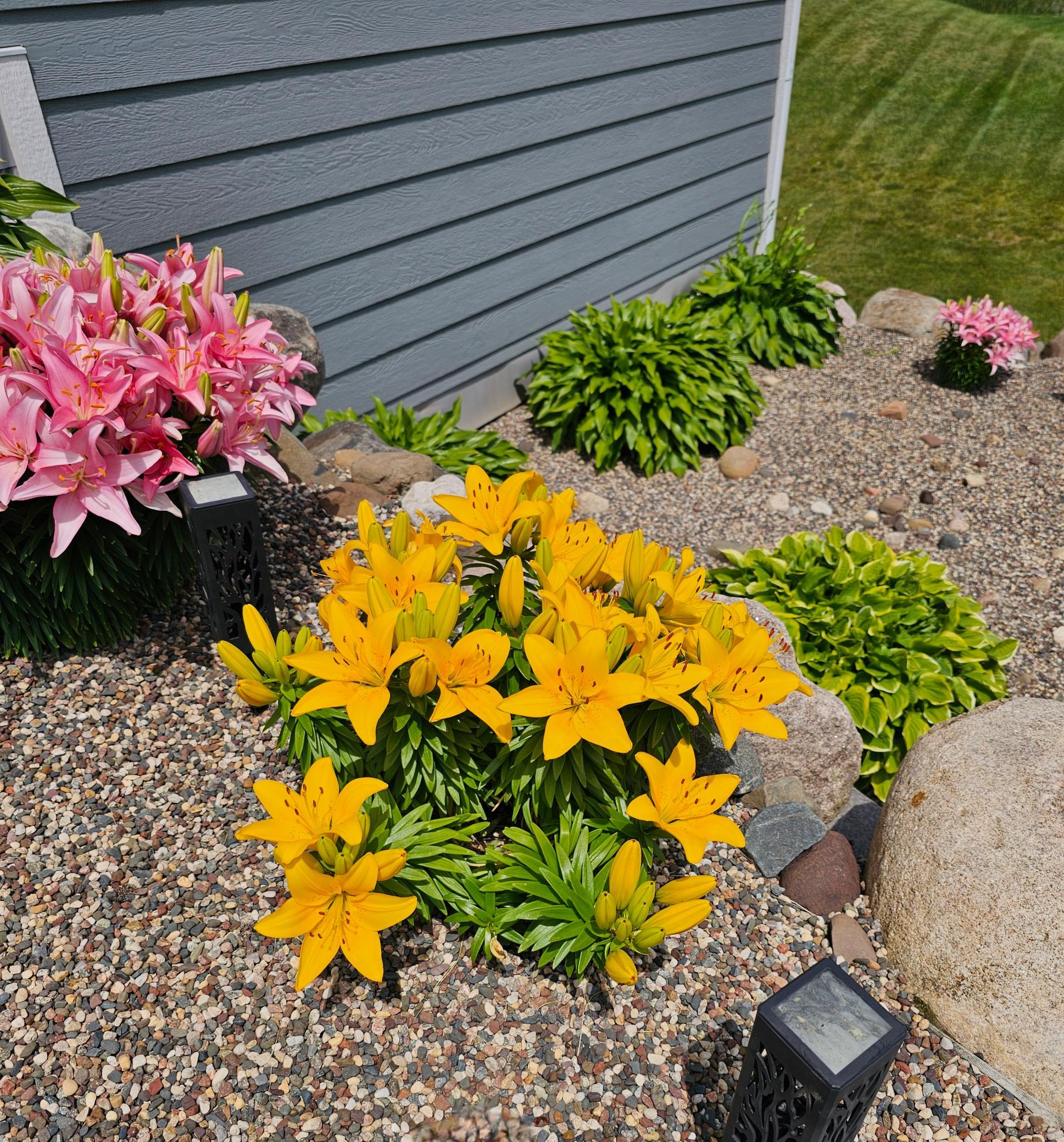 Landscaping accented with vibrant perennials & hostas! (Seller Photo)