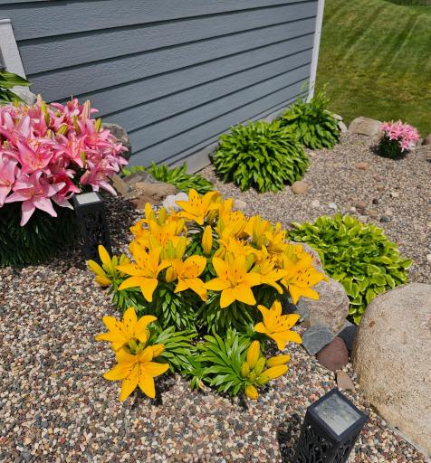 Landscaping accented with vibrant perennials & hostas! (Seller Photo)