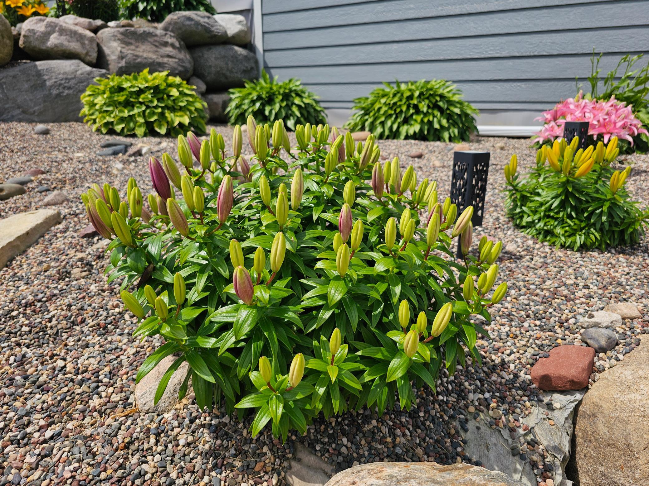Landscaping accented with vibrant perennials & hostas! (Seller Photo)