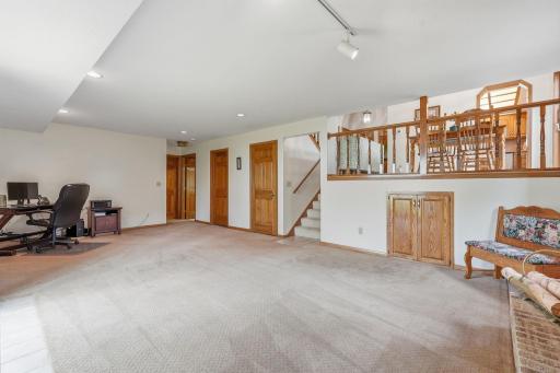 Expansive lower level family room w/walkout