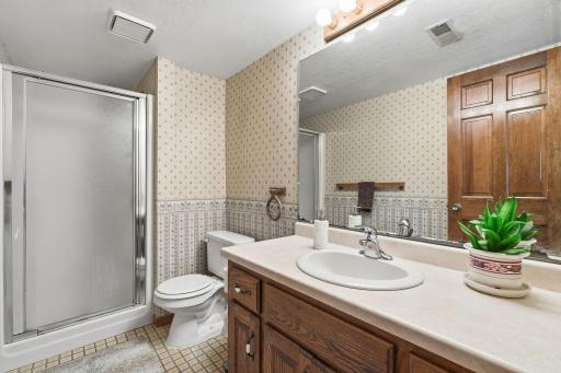 Lower level 3/4 bath