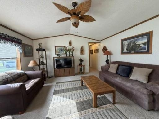 Vaulted ceilings in the living room and kitchen
