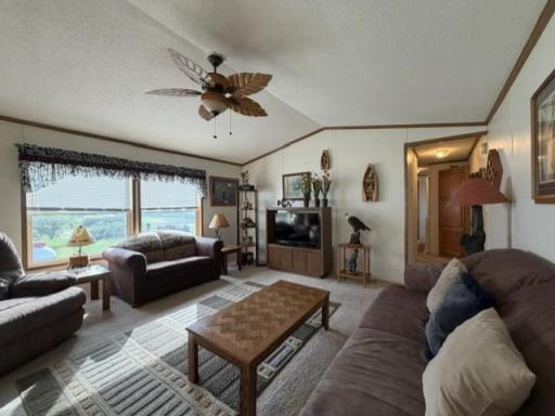 Nice sunny living room.. Eastern exposure