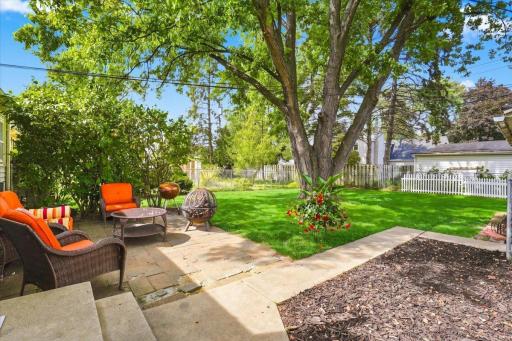 37-Backyard.jpg