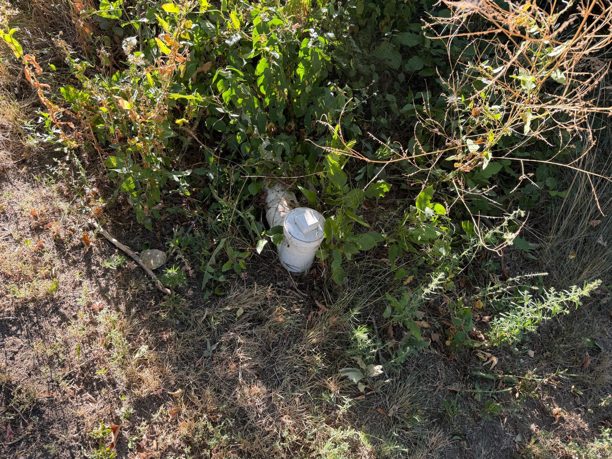 IMG_0901.jpeg