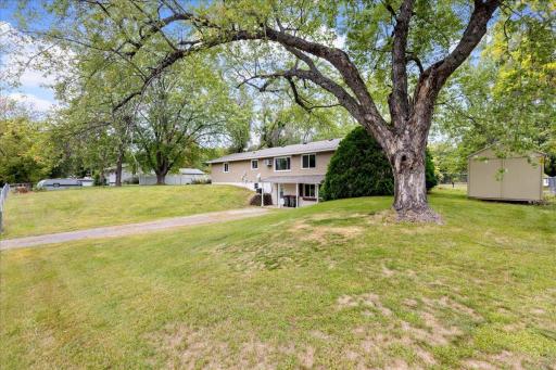 Spacious yard with mature trees surrounds the property, offering plenty of outdoor space and added privacy between street accesses.
