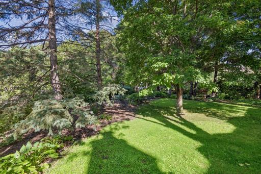 Lush greenery that is an extension of the patio space.