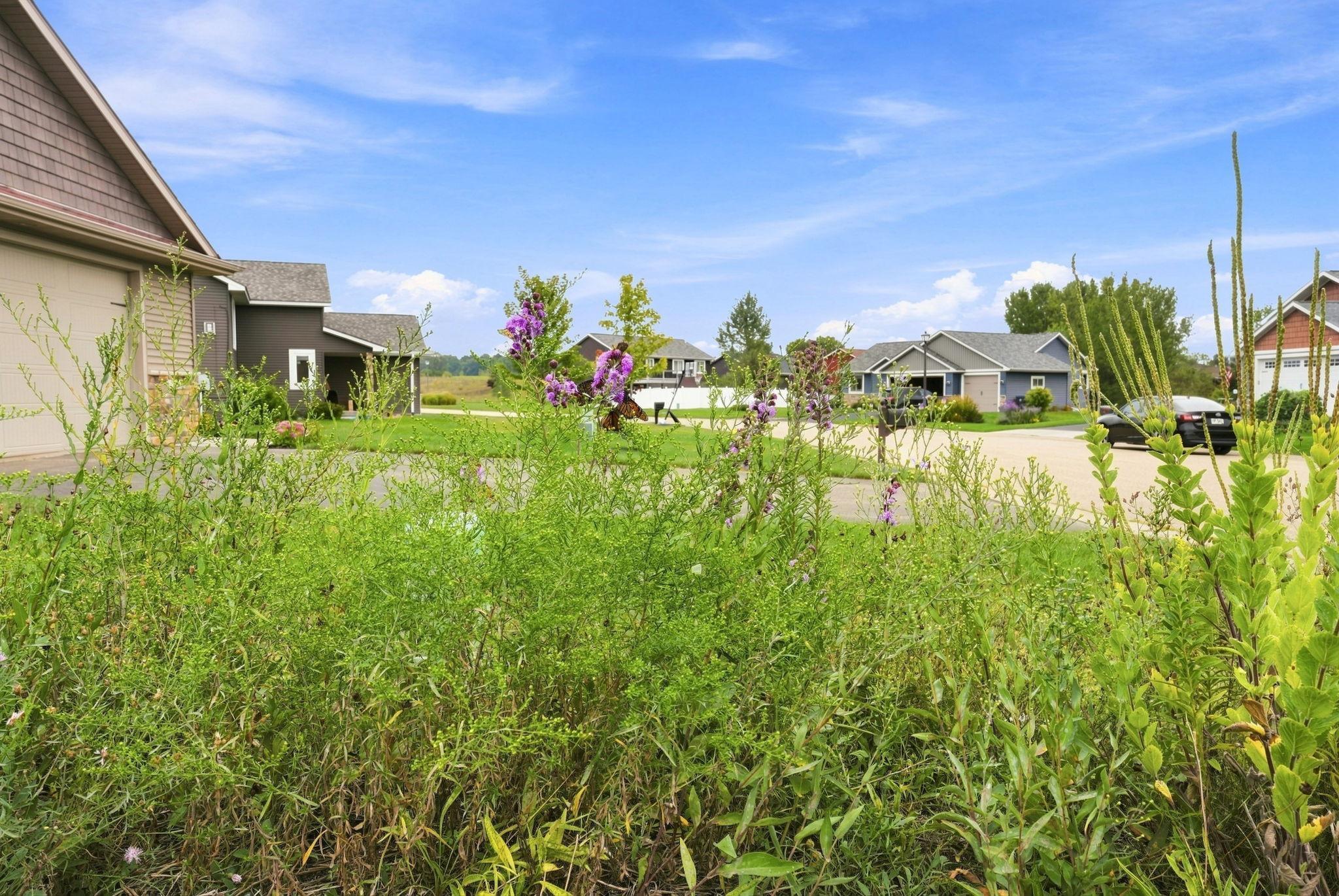 Pollinator Garden