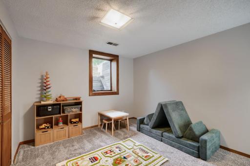 Lower Level Family Room play area. An egress window too.