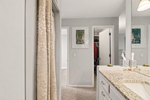 Owner's Bathroom and Walk-In Closet